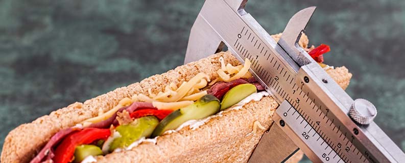 criar site para nutricionista